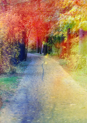 Similar image 13264297