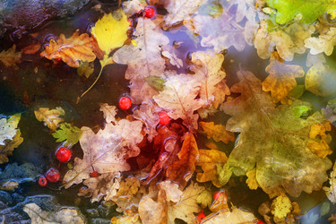 Similar image 13264298