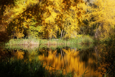 Similar image 13264299