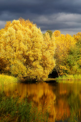 Similar image 13264304