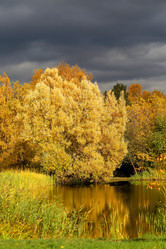 Similar image 13264263