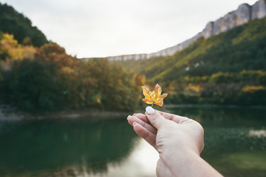 Similar image 13271688