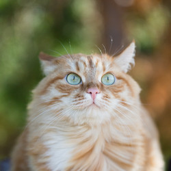 Similar image 13271256