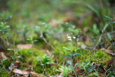 Similar image 13271280