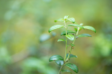 Similar image 13271281