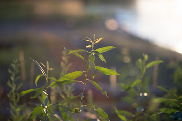 Similar image 13271290