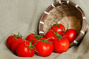 Similar image 13277511