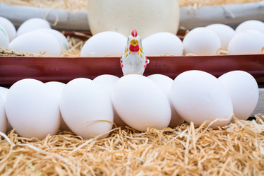 Similar image 13284087