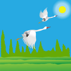 Similar image 13272455