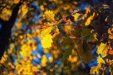 Similar image 13271216