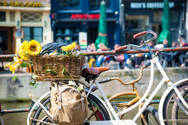 Similar image 13288273