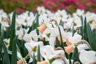 Similar image 13288275