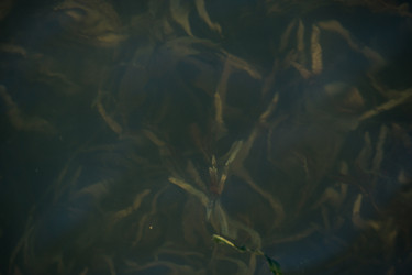 Similar image 13286658