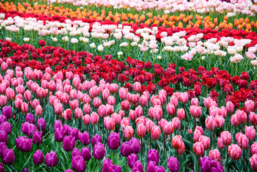 Similar image 13288315