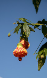 Similar image 13273568