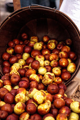 Similar image 13273570