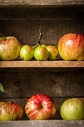 Similar image 13270792