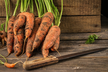 Similar image 13270793