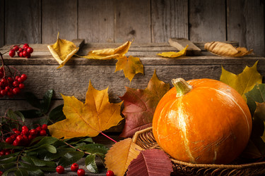 Similar image 13270801