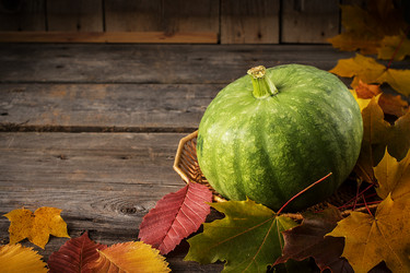 Similar image 13270802