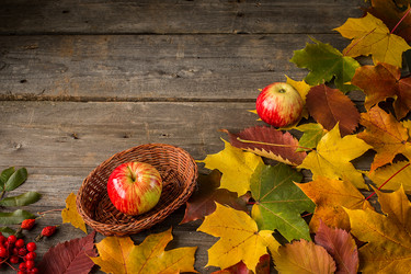 Similar image 13270803