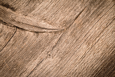 Similar image 13270805