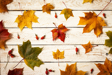 Similar image 13270811