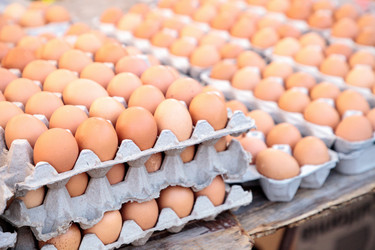 Similar image 13273588