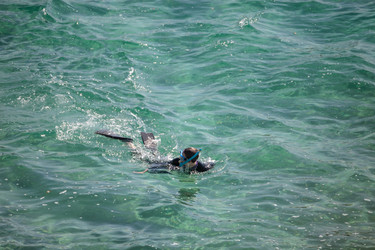 Similar image 13273625