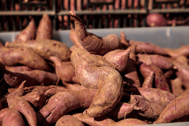 Similar image 13280766