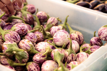 Similar image 13280767