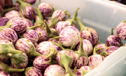 Similar image 13280768