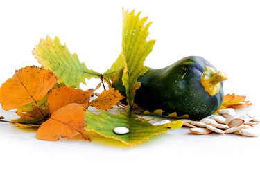 Similar image 13264502