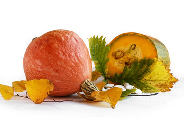 Similar image 13264503