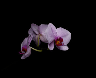 Similar image 13268954