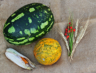 Similar image 13269125