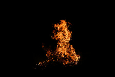 Similar image 13269113