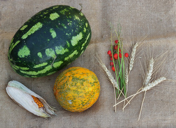 Similar image 13269126