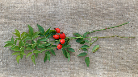 Similar image 13269144