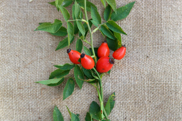 Similar image 13269150