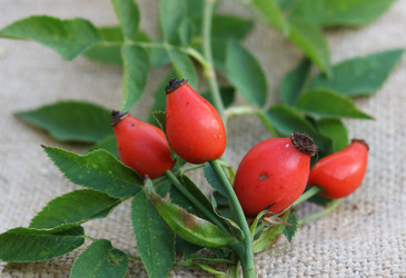 Similar image 13269152