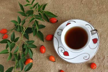 Similar image 13269169