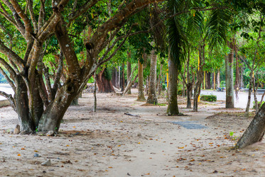 Similar image 13284609