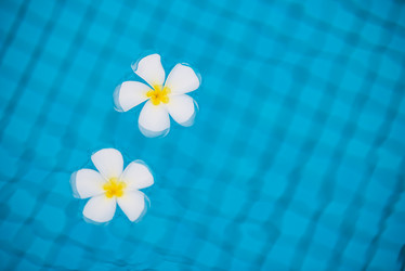 Similar image 13284633