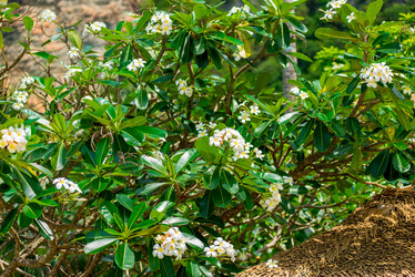 Similar image 13284556