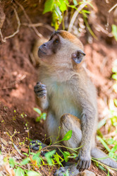 Similar image 13284563