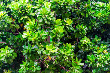 Similar image 13284585