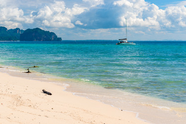 Similar image 13284569