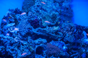 Similar image 13271428