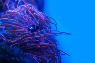 Similar image 13271430